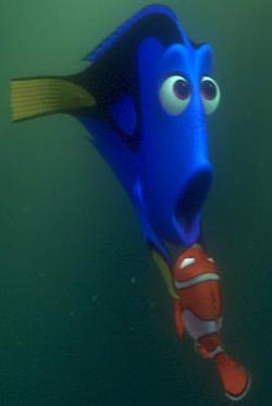 Nemo-&-Dory_5.JPG